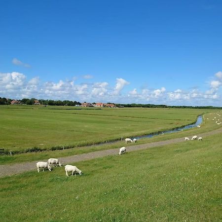 De Oostkamer; Eiland Appartement Naast Natuurgebied Boschplaat Oosterend  Exteriér fotografie