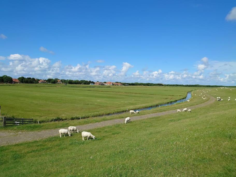 De Oostkamer; Eiland Appartement Naast Natuurgebied Boschplaat Oosterend  Exteriér fotografie